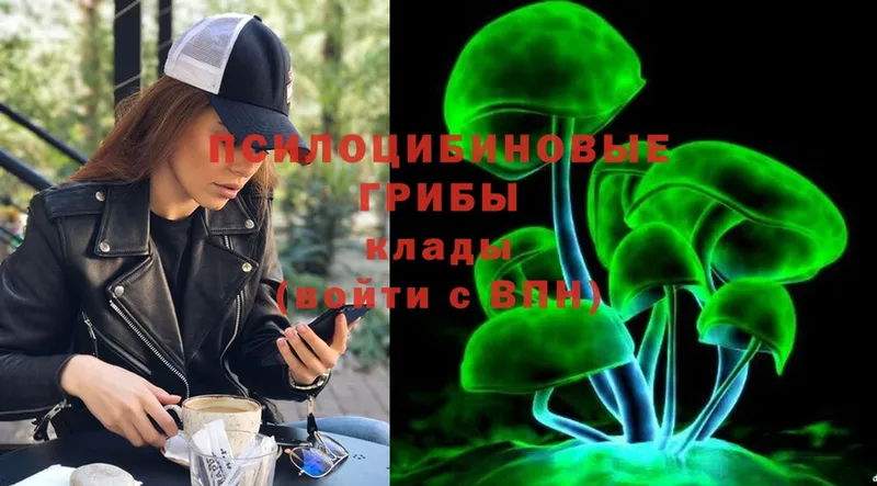 Галлюциногенные грибы Cubensis  Белебей 